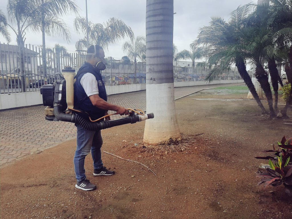 HGuasmoSur's tweet image. #CruzadasPorLaSalud | Personal de #ControlVectorial de #Distrito09D01 realiza fumigación en las instalaciones de 🏥@HGuasmoSur de @Salud_Ec, para la prevención de enfermedades transmitidas por la picadura de mosquitos #Dengue, #Zika y #Chikungunya.