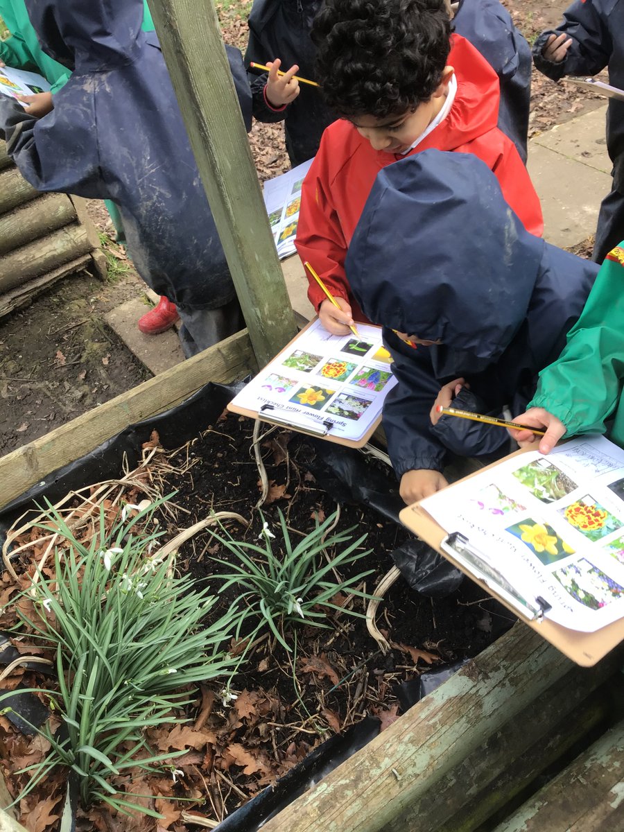 BlakerMrs's tweet photo. Observing the natural world🌸🌺
Reception had a wonderful  time  searching  for  flowers  this morning  as  part  of  our  Spring  topic.  #eyfs #outdoorlearning @NorthManorAcad https://t.co/GJTqtmZgPV