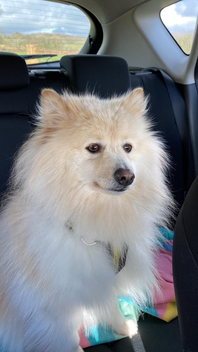 Gemma Conde tweet media