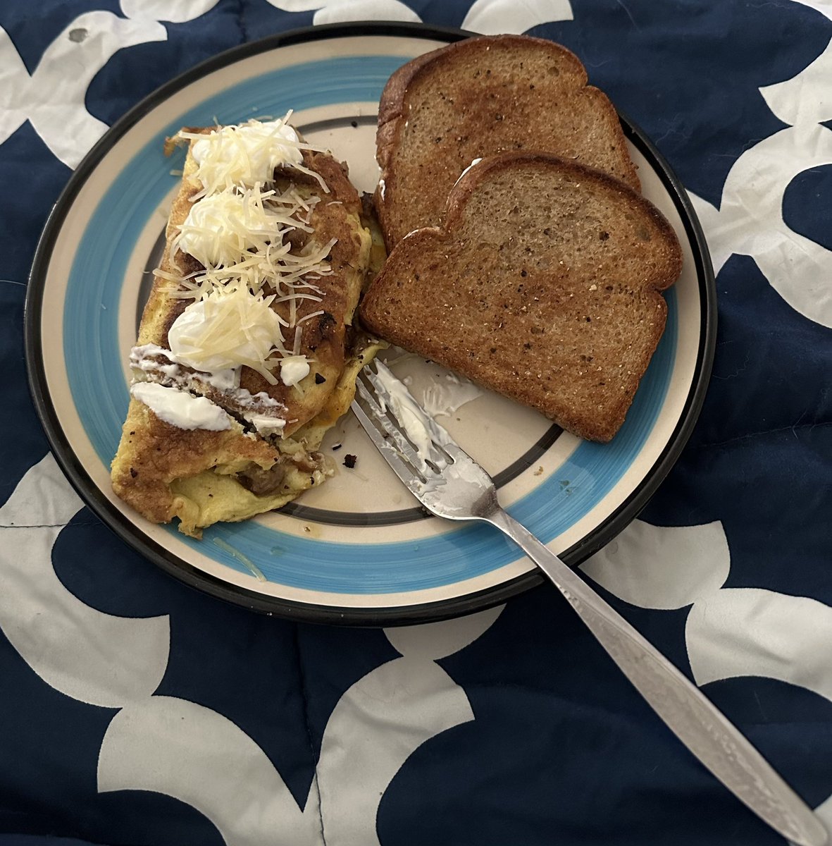 MrMan_Man's tweet image. #BrunchToday Omelette (the rest of the leftover Turkey breast, chopped up, and some ground Turkey Italian sausage, with some minced garlic and a lil cheese inside. sour cream and Parmesan on top), and a couple slices of whole wheat toast. #GettingThisBodyAndHealthTogether #Quick!