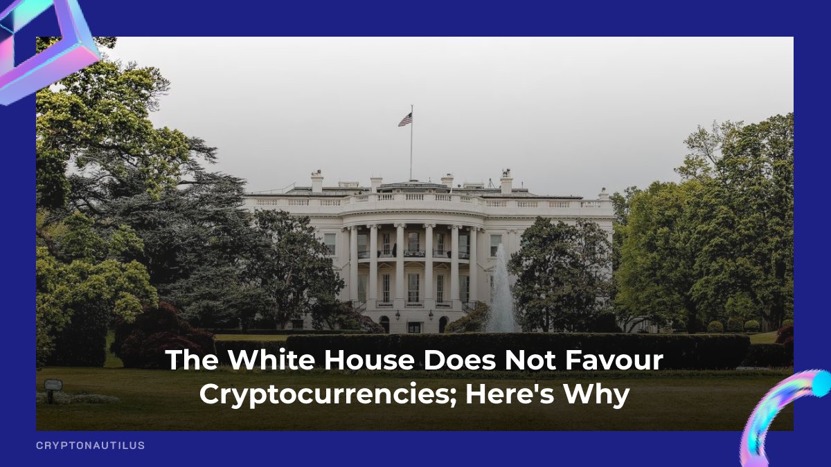 Cryptonautilus tweet media