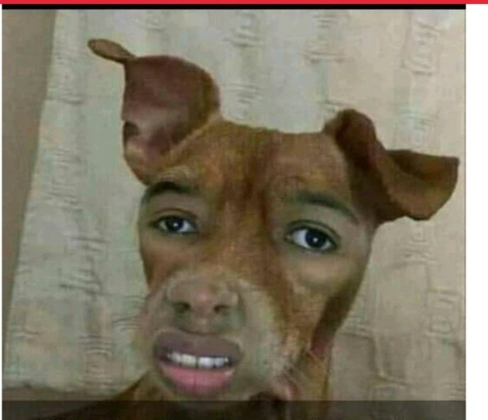 gothanwillard's tweet photo. Must thabang kiss her in public???? Nawa o
#BBTitans https://t.co/3AhtuNmGFu