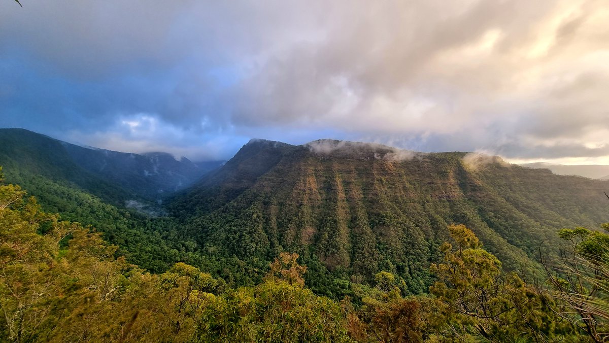 What a view to start the Platinum Boot weekend! Photo by Denise.

#bushwalking #hiking #landscape #lamingtonnationalpark #queensland #australia