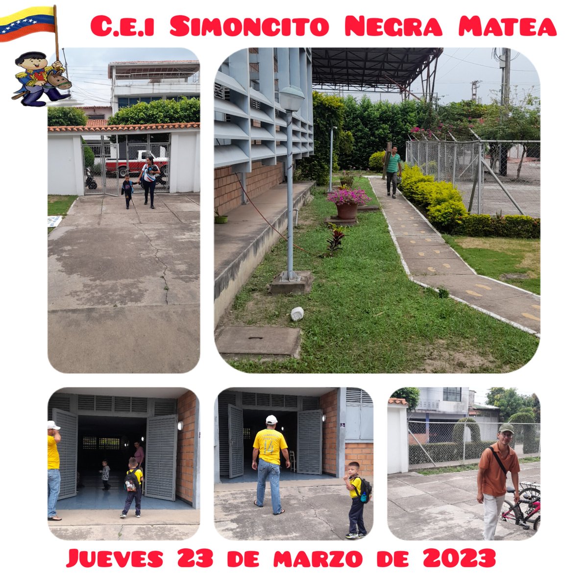 simoncito negra matea tweet media