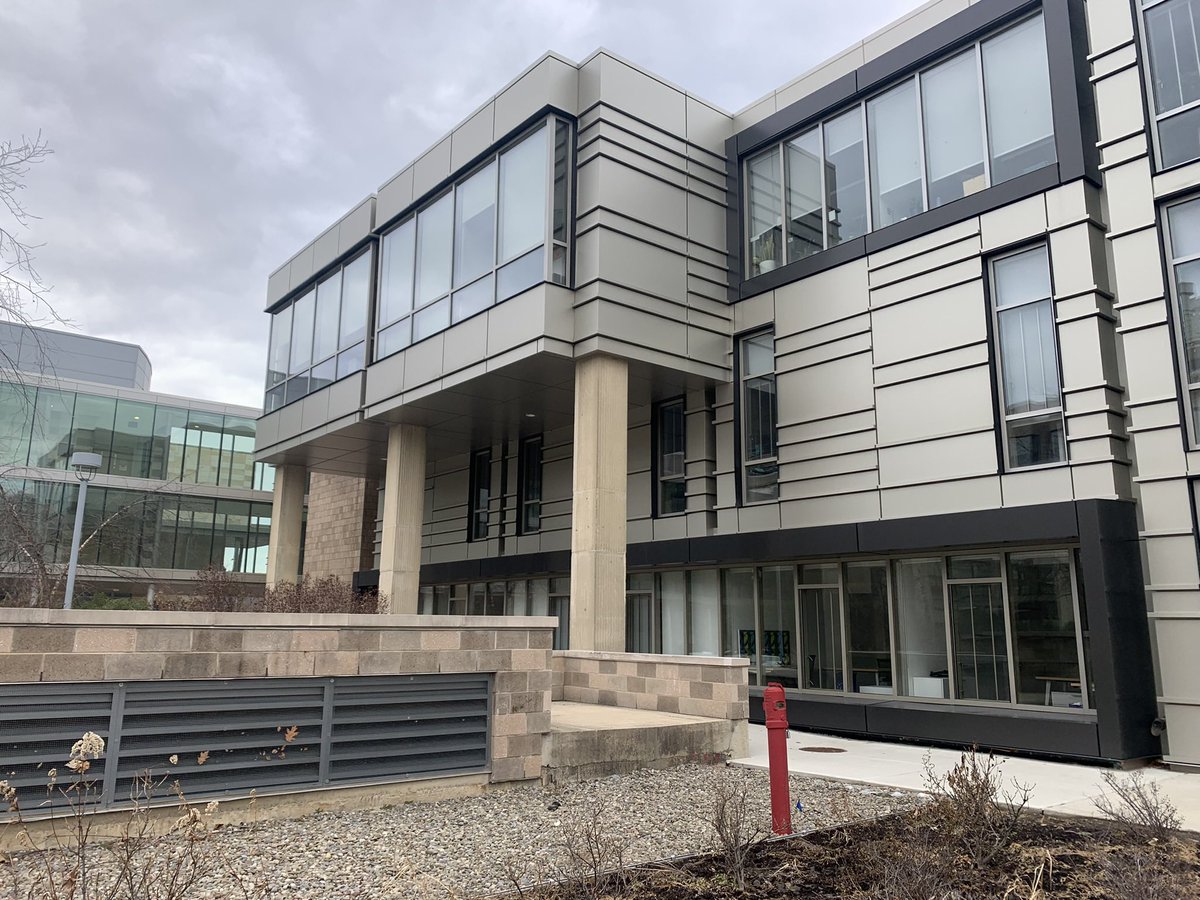 William Hayes tweet media