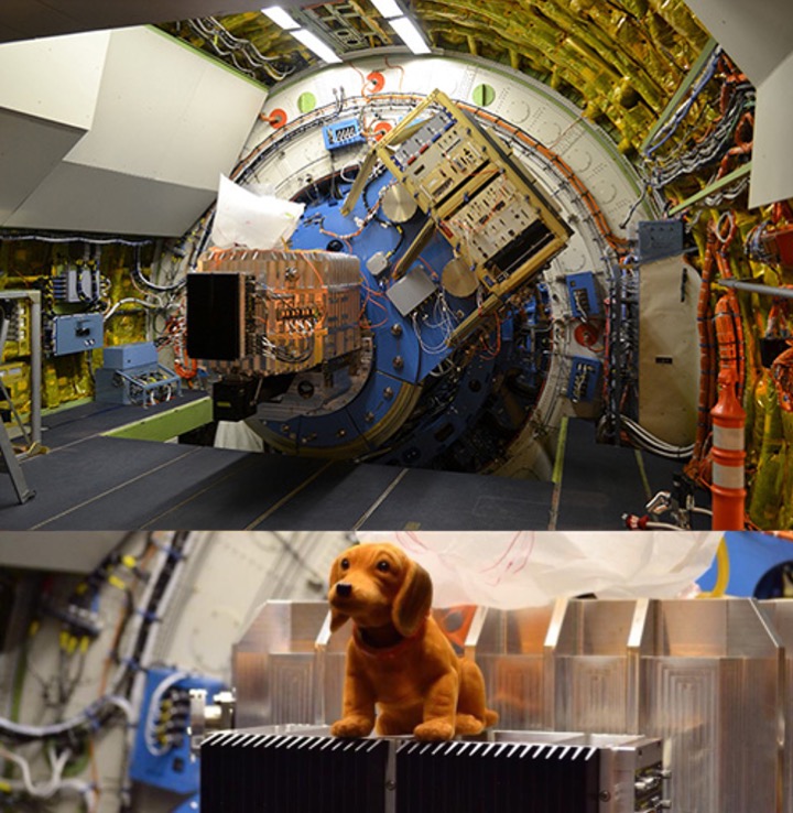 SOFIA’s FIFI-LS instrument was efficient at obtaining images and spectroscopic information simultaneously, studying the interstellar medium and star-forming regions in the Milky Way and its nearby galaxies.

It also had a special little mascot! Happy #NationalPuppyDay! 🐾