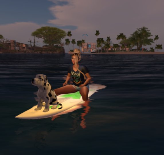 SofiaLight6's tweet photo. This message make my day.   I feel so grateful to all the supporters for #Hawaii #SurfProject #MelanomaAwareness #VirtualWorld #Sl version. https://t.co/uTCdhaejJ8