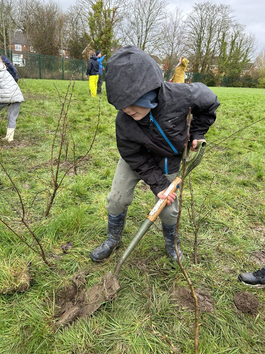 Class3StAnnes's tweet photo. Our children enjoyed taking part in planting trees in our school grounds today! 🌳 #outdoorlearning #planting https://t.co/LtzUijAf6B