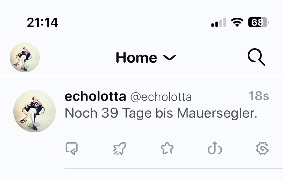 Echolotta // echolotta@nrw.social tweet media