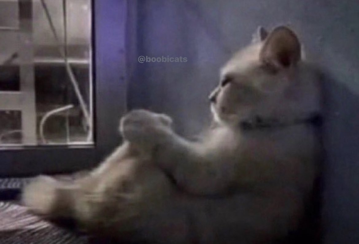 WrioMains's tweet photo. us in WrioMains when we realize Wriothesley won't be out for months :( https://t.co/uQ6XClv4nL