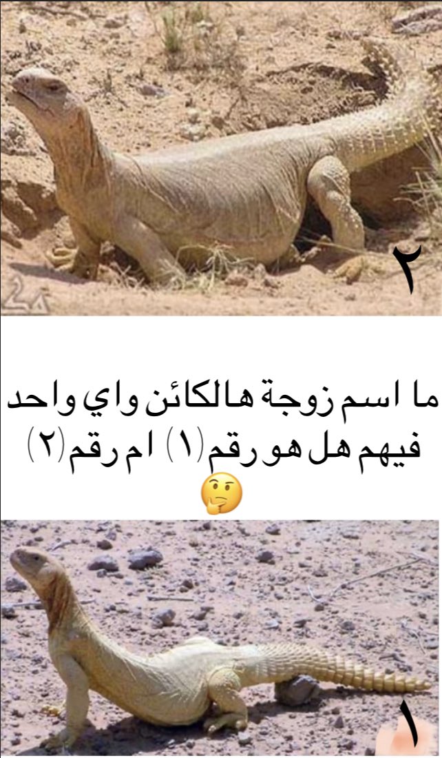💙🤍(((زمن رحـــاال)))🤍💙 tweet media
