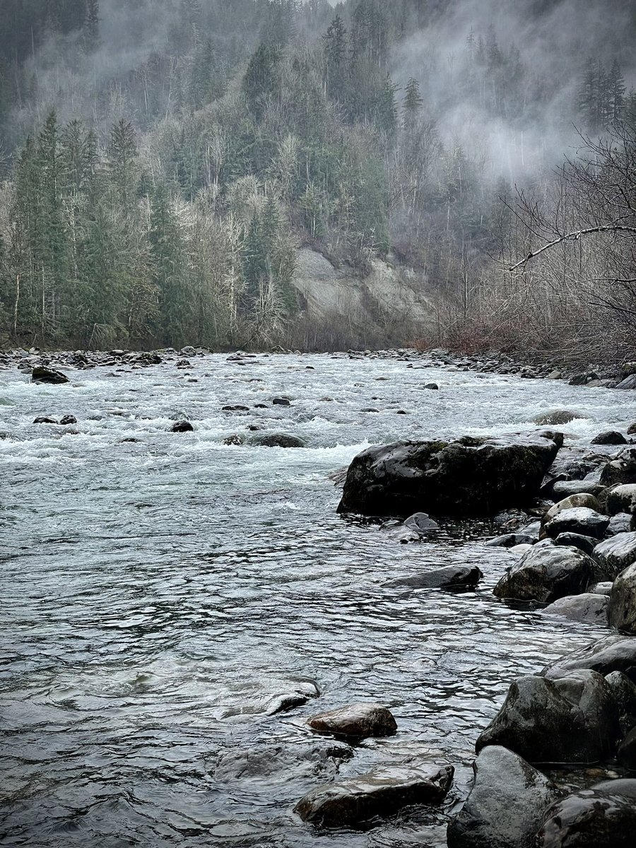 PineyRealm's tweet photo. Here in Twin Peaks, a rainy day at the river’s edge. 

49 degrees Fahrenheit right now, around 9 Celsius.

Everyone, stay safe and have a great day/night! https://t.co/FbDe1XXIqa