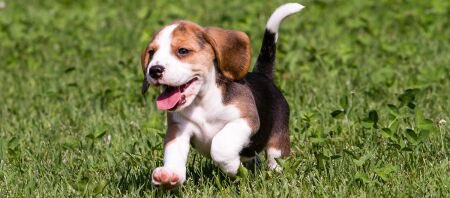 koemans1's tweet image. #Tjeerd #deGroot #D66
Van Tjeerd de Groot moet ik Dood.