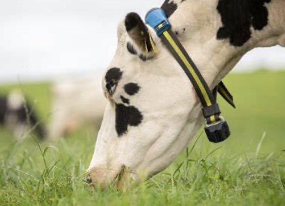 Efficient Farm Systems tweet media