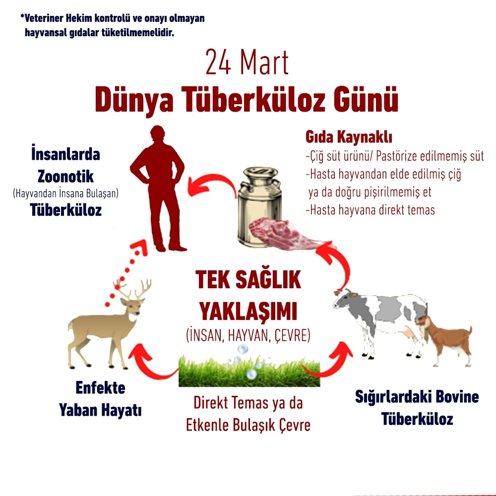 UsakVHO's tweet photo. Hayvanlardan insanlara geçen en önemli hastalıkların başında gelen Tüberküloz (Verem) hastalığı ile aranızdaki en önemli bariyer Veteriner Hekimlerdir... https://t.co/2u2Z8yHz0e