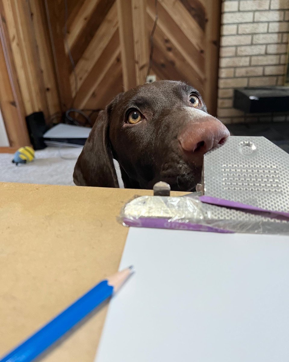 Alannimals tweet media