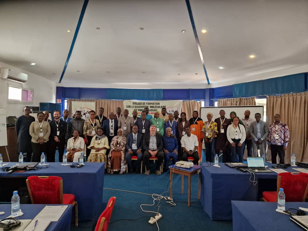 PasteurDakar's tweet photo. Retour en images sur 3 jours de formation consacrés au diagnostic moléculaire du virus Marburg  en collab avec @OoasWaho .

Découvrez le contexte, les objectifs ainsi que les impressions du Dr Melchior Aïssa 👉🏼 https://t.co/glOKnNQICx

#MarbugVirus #OOAS #LabPlusAfrica #CARE #UE https://t.co/5mAa2sNqXg