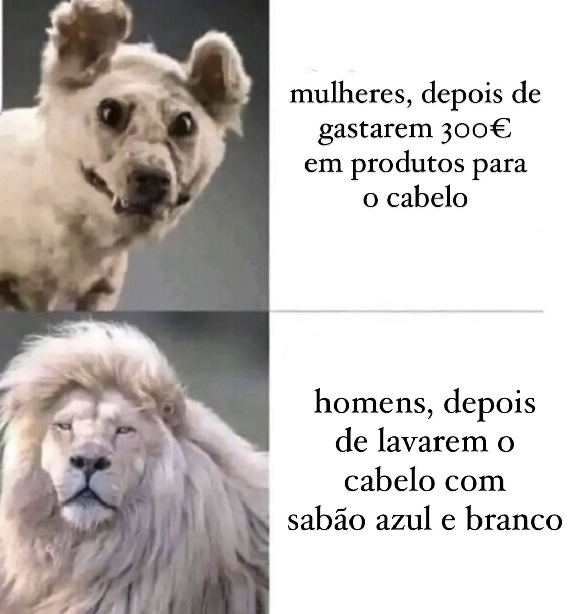 frases de m3rda (@frasesdem3rda) on Twitter photo 