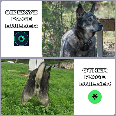 JanisPeipins's tweet photo. #SideMemeContest
@sidexyz
π
When I speak to my dog about Web3.0 (gogol proof) https://t.co/elI1a4JZGw