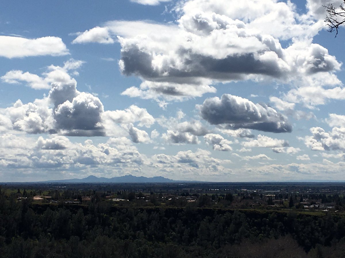 Although the #wildflowers in #upperbidwellPark in #ChicoCA are beautiful, I feel like I’m looking at the #clouds a little different after watching #Nope last night. 😜