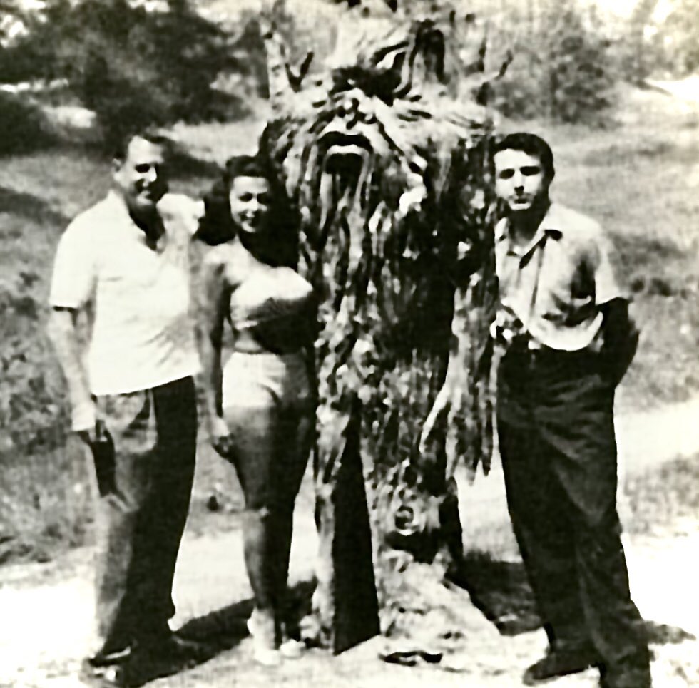 monstersndrinks's tweet photo. “When you’re a tree monster, it’s good to have friends who don’t bombard you with spicy “wood” related jokes, especially in the morning before you’ve had your coffee.” #MonsterProblems #FromHellitCame https://t.co/xpg1kw4HN5