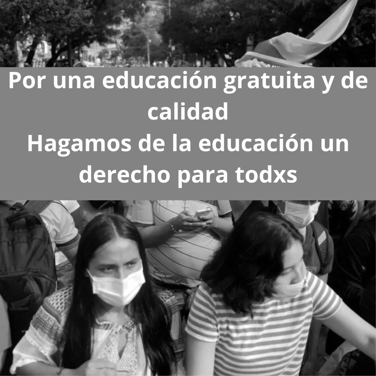MoneasManeas tweet media