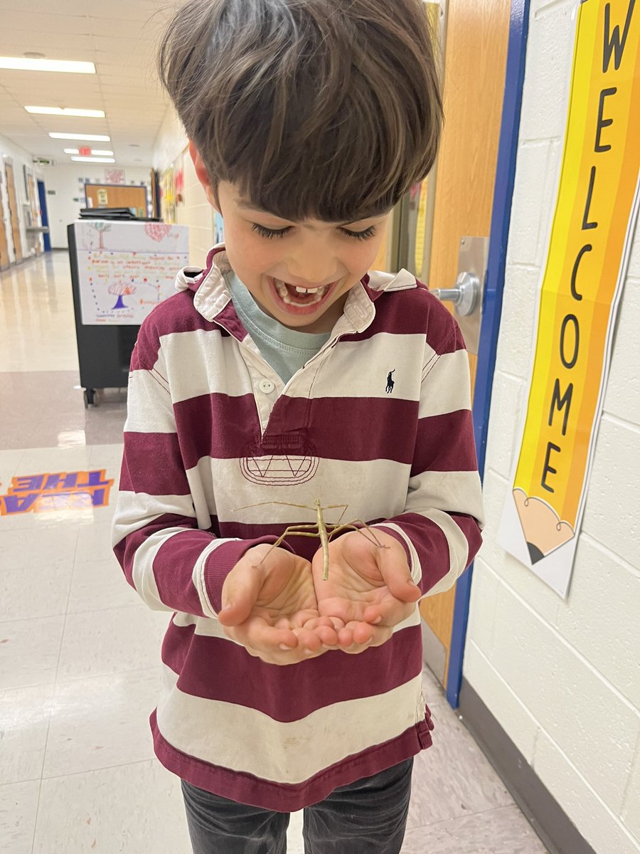 Pure joy! <a href="/BethHoffman/">BethHoffman</a> <a href="/MsPontani/">Dana Pontani</a> <a href="/HopewellES/">Hopewell Elementary School</a>