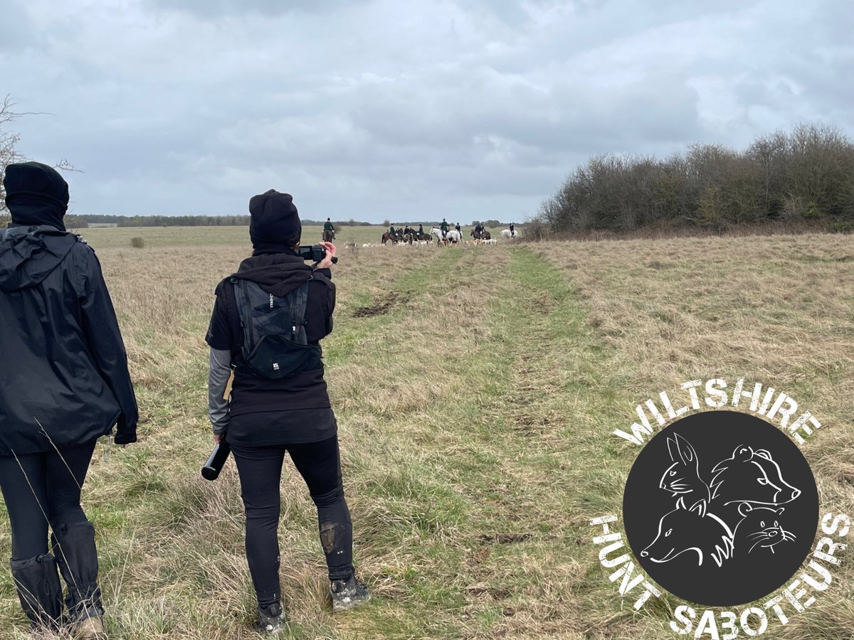 WiltsHuntSabs's tweet photo. Hit report is up!  Royal Artillery Hunt BOMBARDED by sabs yesterday: https://t.co/DlbX0ZFzDU https://t.co/kSJmAnmsRC