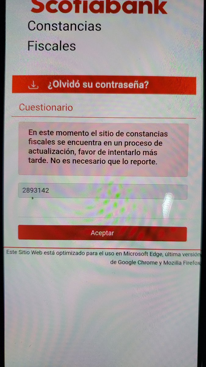 Bruno Diaz tweet media