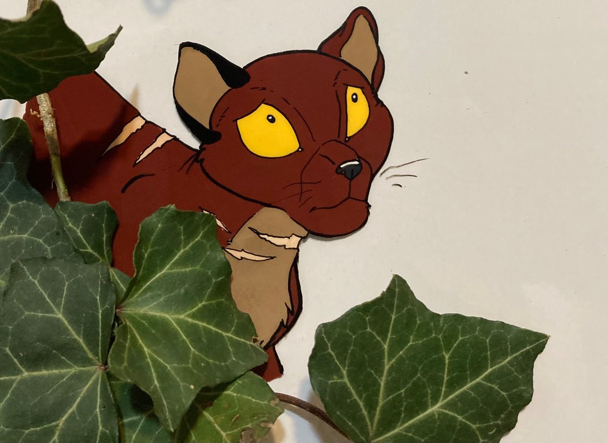 "It's a cash and carry world, pay as you go. Sometimes you pay a little, but mostly it's a lot. Sometimes, it's everything you have."

Animation cel of Antpelt, drawn in the style of Felidae. #WarriorCats
