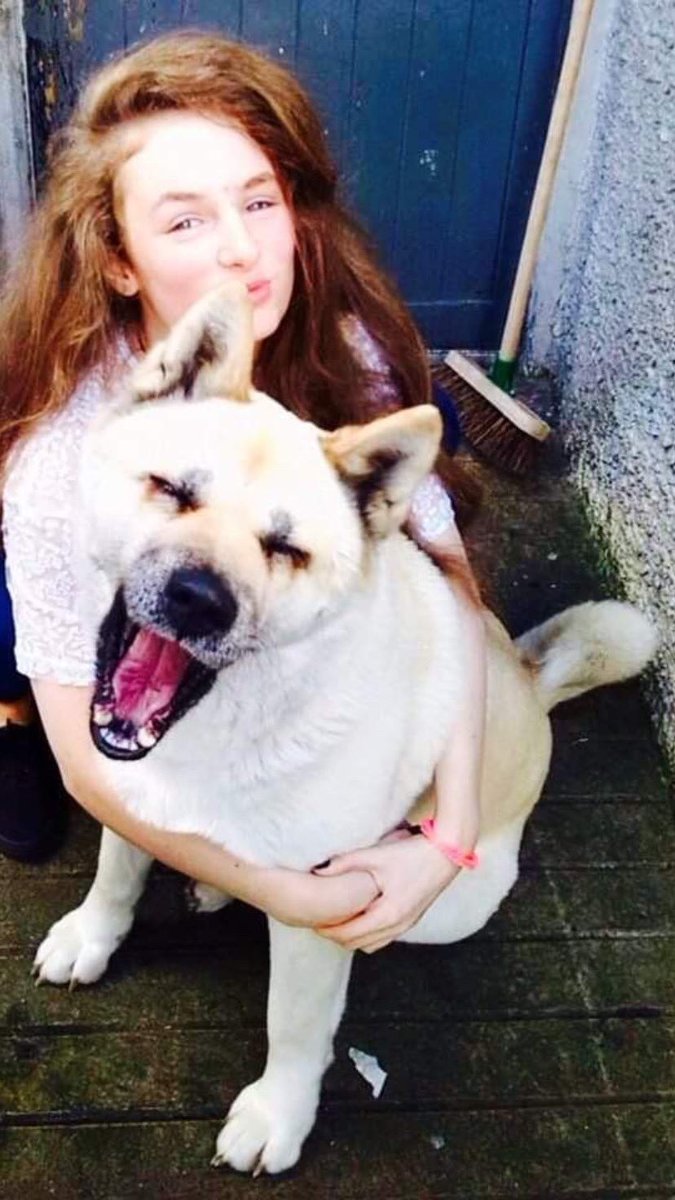 demigallagher99's tweet photo. My beautiful angel went over the rainbow bridge today🐾🫶🏻. 14 years together just wasn’t long enough 💔#doggieheaven https://t.co/BjOAknfTtN