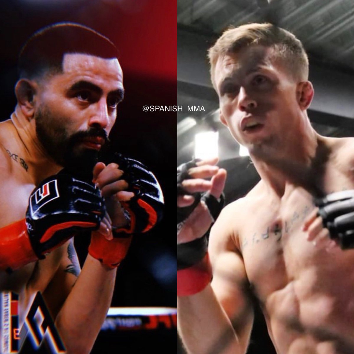 spanish_mma's tweet photo. Dani Barez (16-5) estará peleando por el cinturón flyweight de la promotora de Urijah Faber: A1 Combat, frente al actual campeón Joseph Morales (12-2) en California, el próximo 27 de mayo.
@DanielBarez
@A1combat
#danibarez #danielbarez #a1combat #mma #california #ufcfightpass https://t.co/K9QliMqDgK