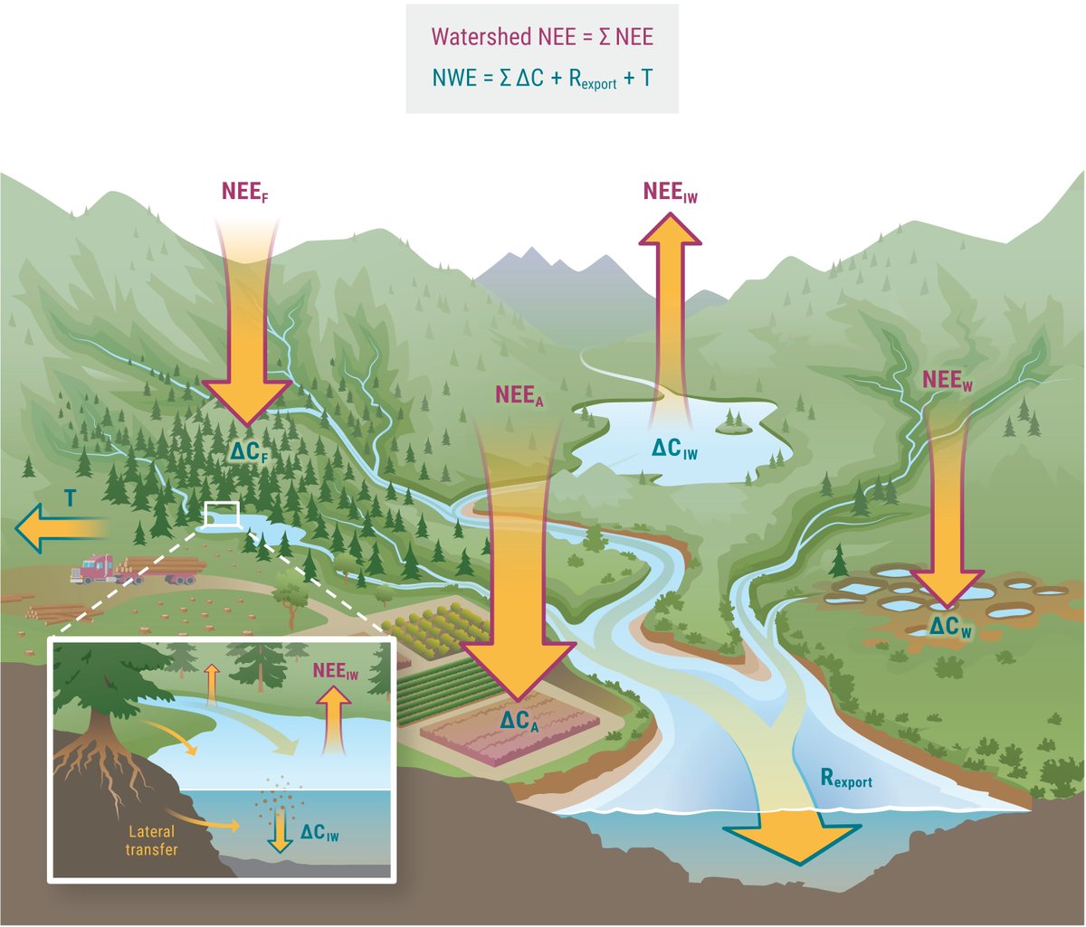 jpcasasruiz's tweet photo. 📢New paper alert! https://t.co/guxZGPvzHQ
Happy to share our new work is out in @NatureComms! We put forward a framework to improve bottom-up estimates of land-atmosphere carbon exchange by integrating terrestrial and aquatic ecosystems. @GRIL_Limnologie @CarBBAS @IEA_UdG https://t.co/XDDzP6ogI4