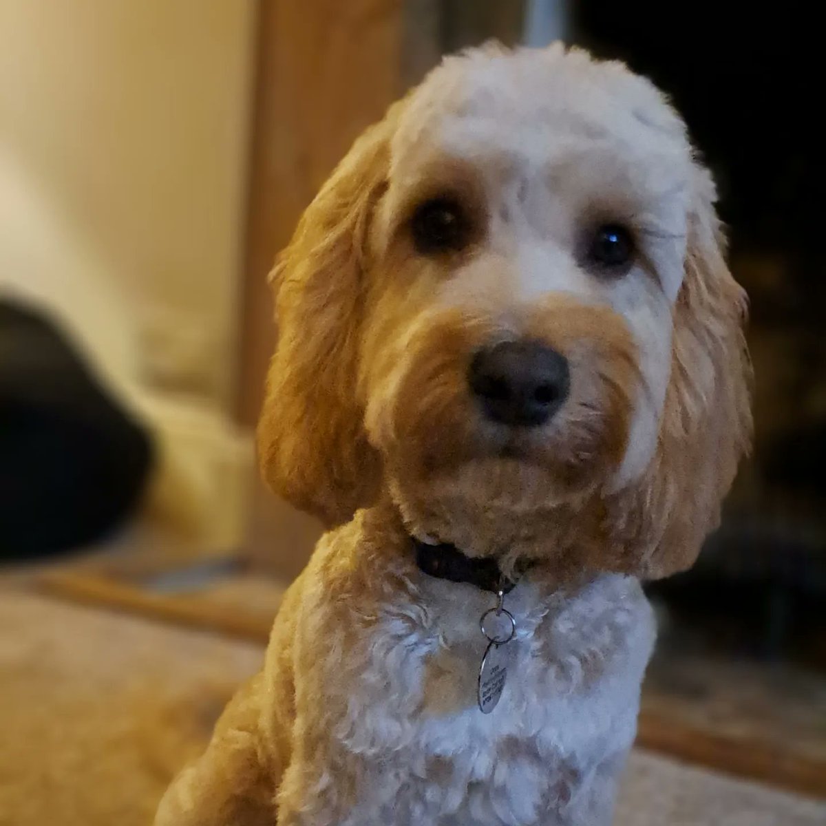 Pickup Sports Coaching tweet media