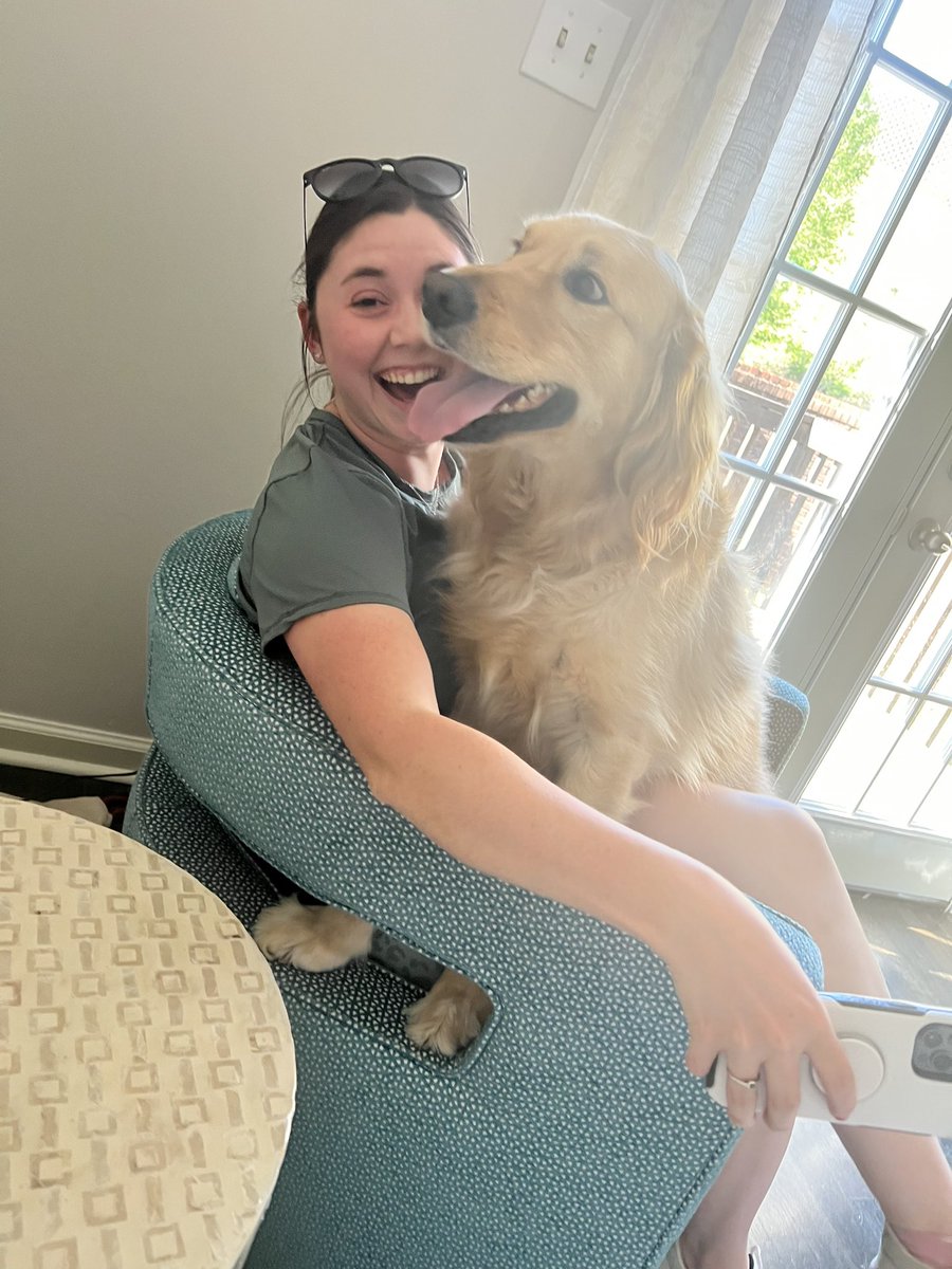 GillianBNews's tweet photo. There’s no lack of love from Winston but there is a lack of personal space 🐶 https://t.co/o57Klx8Mr7