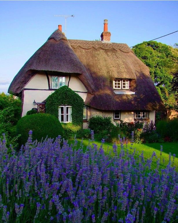 #beautiful #house #garden 🏡. 💜