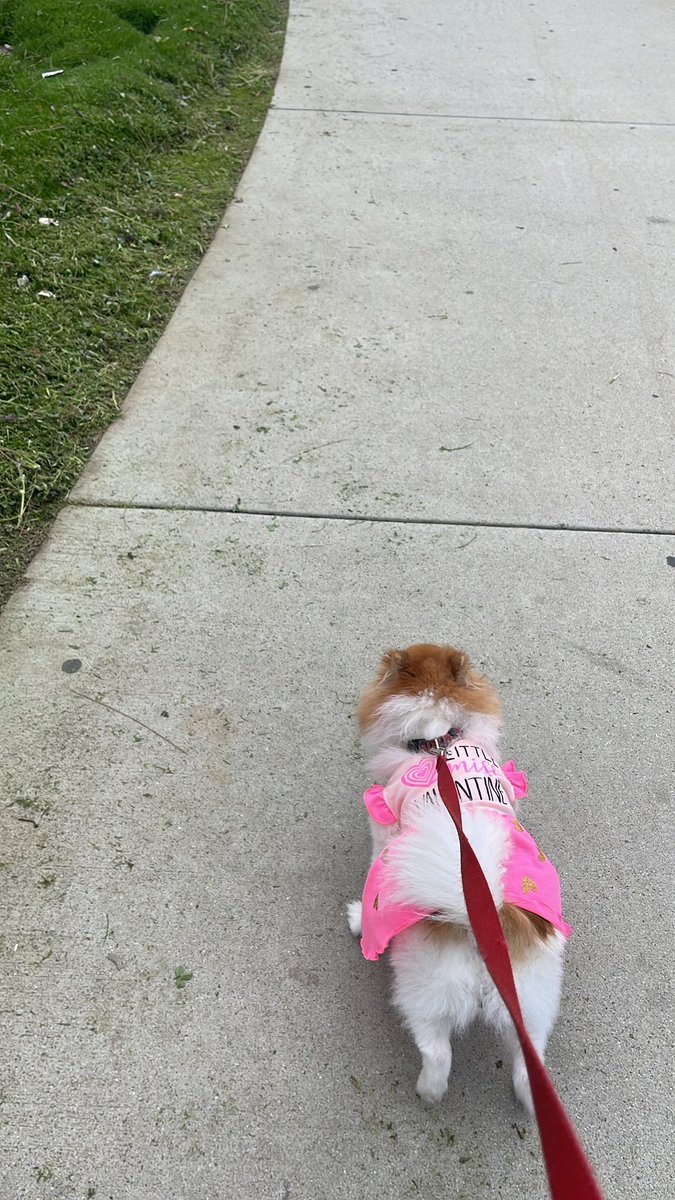 Taking her to school with me