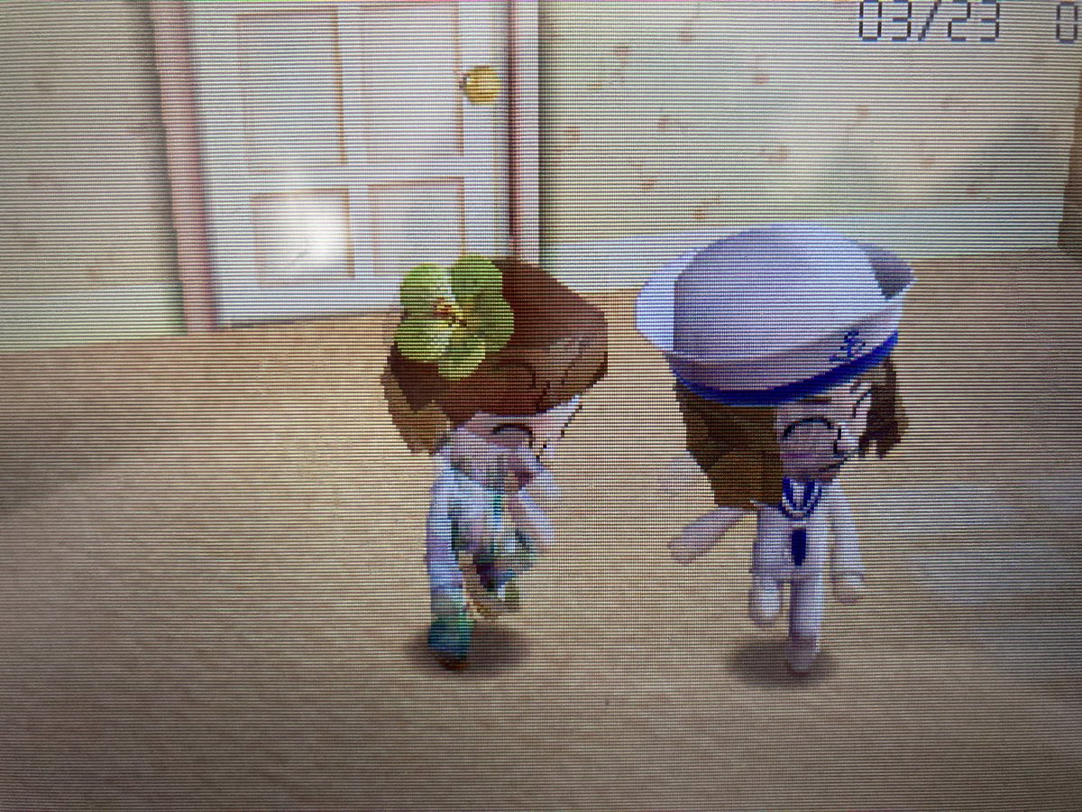 Robin is hanging out with Vickie!