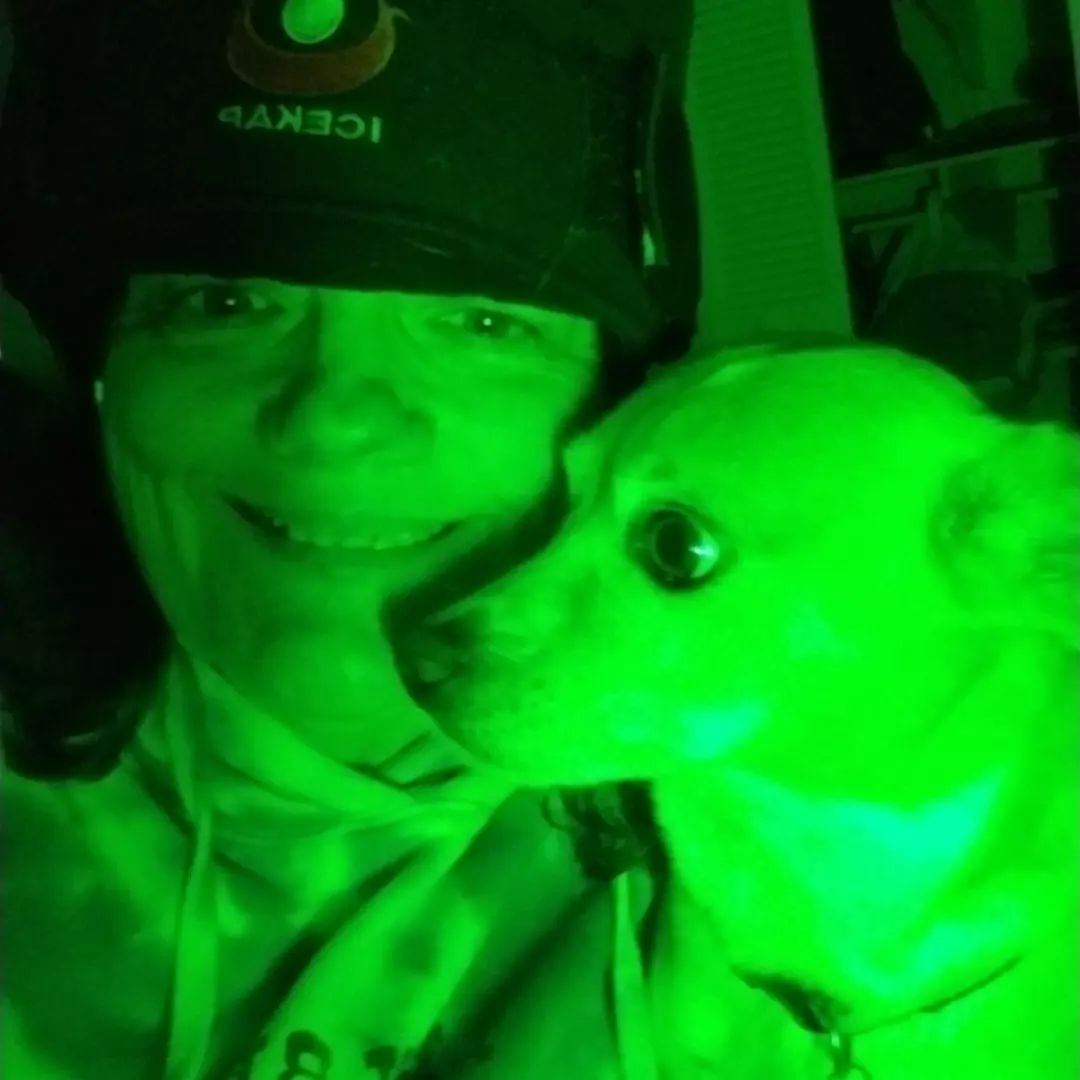 Allay Lamp tweet media