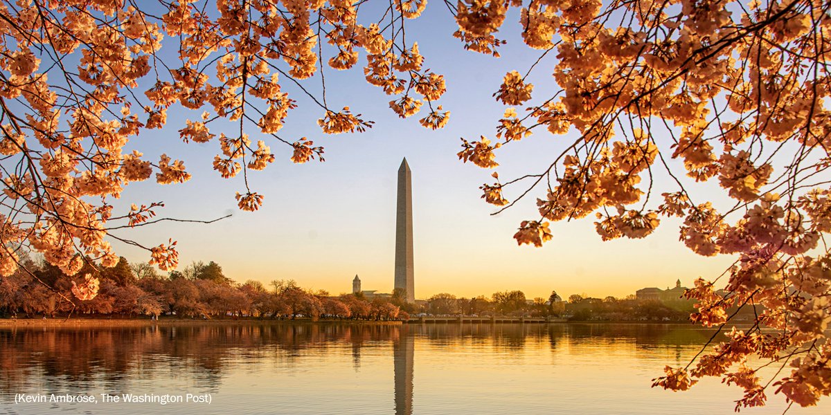 The Washington Post tweet media