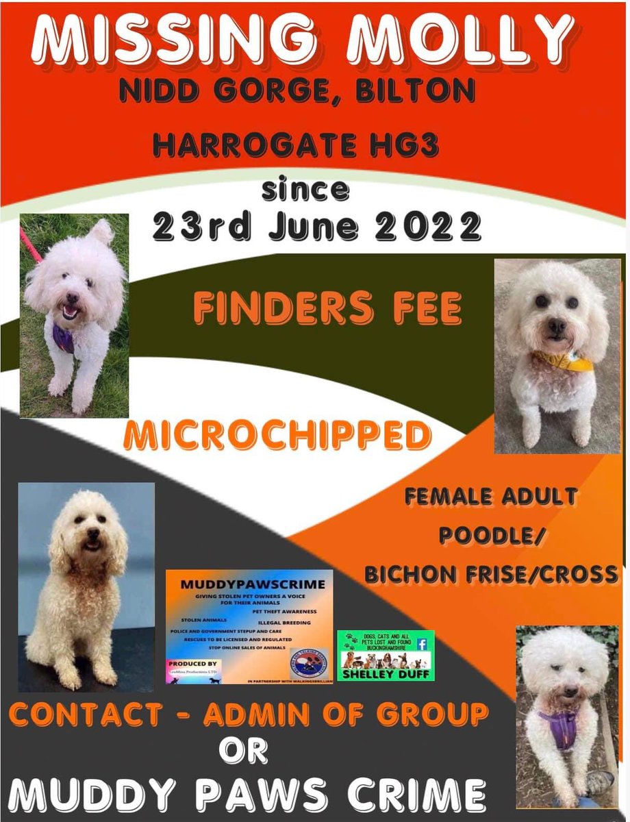 karensarah66's tweet photo. How do you keep explaining to small children about their missing pal? 💔 Help heal hearts and #findmolly 🙏🏻❤️🐾 #missingtoolong @KarenFi51820768 @lisffc @PcsharonPage @lorraineholt @WaterhousePat @ReginaFitzpatr8 @AlanDaffern @JenniBear79 @rosiedoc666 @TinaTowers3 @bs2510 https://t.co/2wFVrroWPG