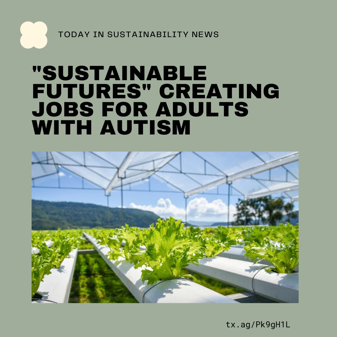 SustainableTAMU's tweet photo. Sustainable Futures in Bedminster gives adults with autism the opportunity to gain valuable skills through gardening and other sustainable development activities. This allows them to engage with others in sustainable environments while preparing them for jobs. https://t.co/ZfygbM5z2e