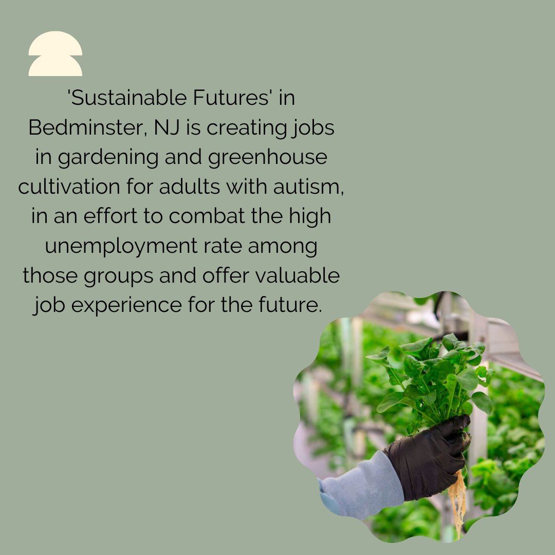 Sustainable Futures in Bedminster gives adults with autism the opportunity to gain valuable skills through gardening and other sustainable development activities. This allows them to engage with others in sustainable environments while preparing them for jobs.