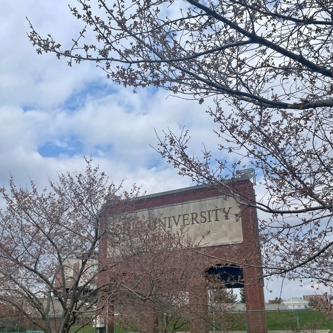 OHIOInvolvement's tweet photo. 🌸 Looks like the cherry blossoms are almost in full bloom 🌸 https://t.co/z4xhw4QKwf