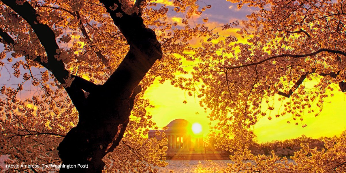 The Washington Post tweet media