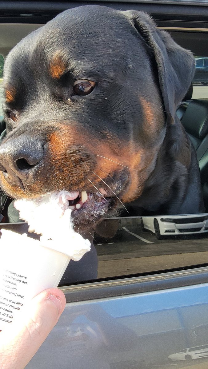 Sorry for the short notice, but we are closed tonight, Thursday March 23. Regular hours tomorrow. Until then........ #happypuppyday