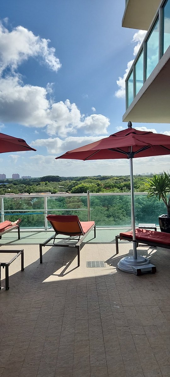 foxxontheblocks's tweet photo. This seat is for you....join a winning team #dripnetwork #animalfarm #foxxontheblock #idvlp #bbprotocol https://t.co/6Vu59qxLZm