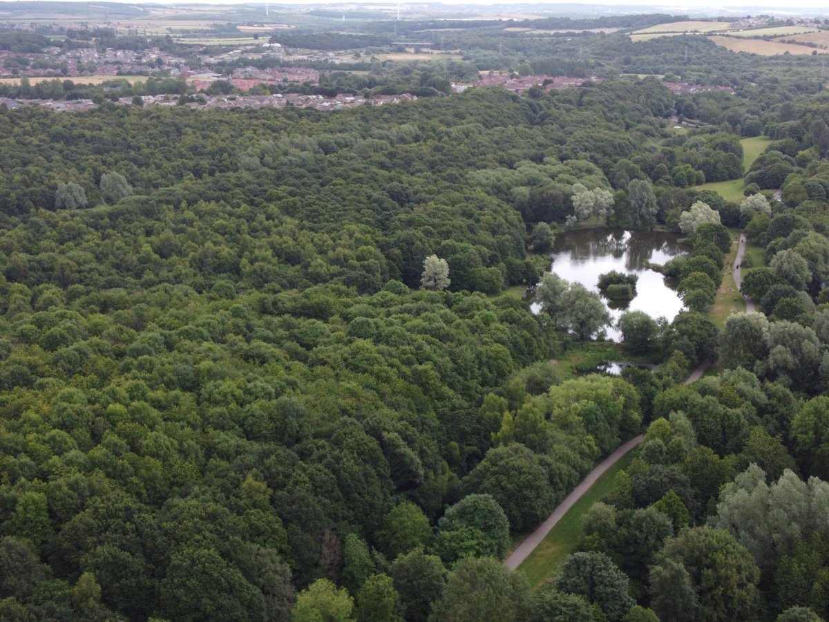 Our park still offers space and peace for contemplation in a built-up town   #breathe #green #Barnsley <a href="/BarnsleyMoving/">What's Your Move Barnsley</a> <a href="/BarnsleyHF/">BarnsleyHealthFed</a> <a href="/BarnsleyCouncil/">Barnsley Council</a>