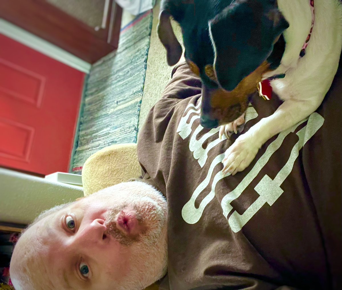 mehallo's tweet image. #mood
#movabletype