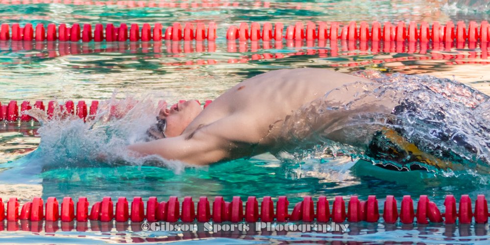 GibSportsPhoto's tweet image. Who likes competitive swimming!? So enjoyable to capture some of the talent at last week's Windsor/Piner HS meet. #CaptureTheAction